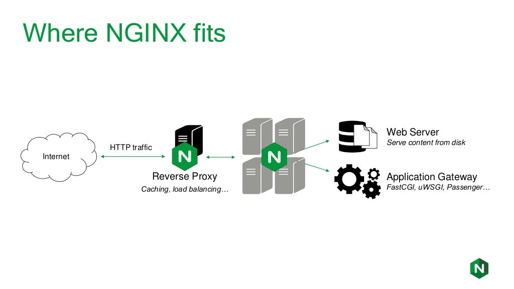 Веб сервер nginx. Web сервер nginx. Nginx прокси. Веб сервер nginx версии. DNS-серверы nginx.