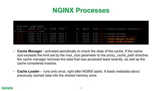 25
NGINX Processes
# ps aux | grep nginx
root 14559 0.0 0.1 53308 3360 ? Ss Apr12 0:00 nginx: master process /usr/sbin/nginx
-c /etc/nginx/nginx.conf
nginx 27880 0.0 0.1 53692 2724 ? S 00:06 0:00 nginx: worker process
nginx 27881 0.0 0.1 53692 2724 ? S 00:06 0:00 nginx: worker process
nginx 27882 0.0 0.1 53472 2876 ? S 00:06 0:00 nginx: cache manager process
nginx 27883 0.0 0.1 53472 2552 ? S 00:06 0:00 nginx: cache loader process
• Cache Manager - activated periodically to check the state of the cache. If the cache
size exceeds the limit set by the max_size parameter to the proxy_cache_path directive,
the cache manager removes the data that was accessed least recently, as well as the
cache considered inactive.
• Cache Loader - runs only once, right after NGINX starts. It loads metadata about
previously cached data into the shared memory zone.
 