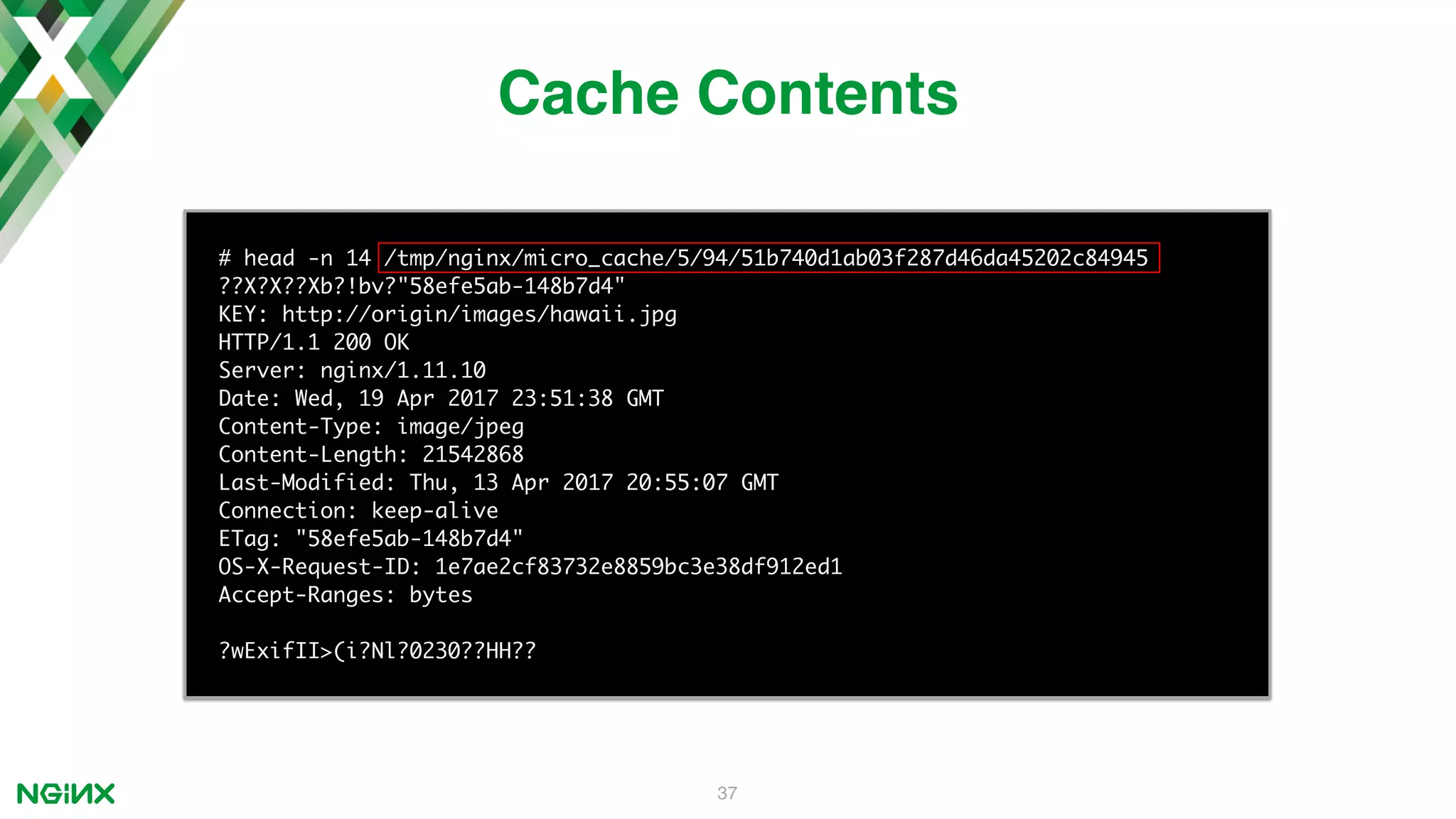 37 # head -n 14 /tmp/nginx/micro_cache/5/94/51b740d1ab03f287d46da45202c84945 ??X?X??Xb?!bv?"58efe5ab-148b7d4" KEY: http://origin/images/hawaii.jpg HTTP/1.1 200 OK Server: nginx/1.11.10 Date: Wed, 19 Apr 2017 23:51:38 GMT Content-Type: image/jpeg Content-Length: 21542868 Last-Modified: Thu, 13 Apr 2017 20:55:07 GMT Connection: keep-alive ETag: "58efe5ab-148b7d4" OS-X-Request-ID: 1e7ae2cf83732e8859bc3e38df912ed1 Accept-Ranges: bytes ?wExifII>(i?Nl?0230??HH?? Cache Contents 