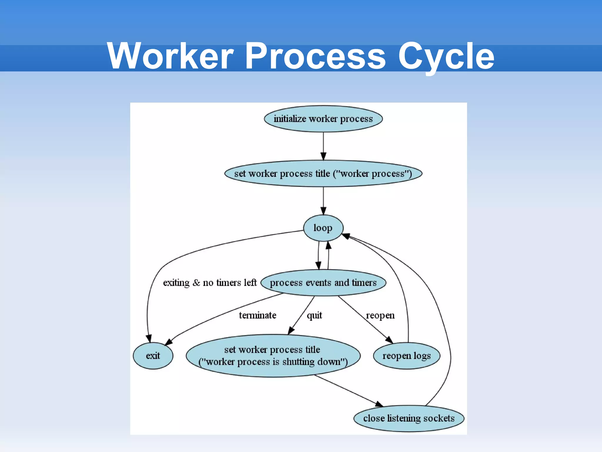 Worker Process Cycle
 