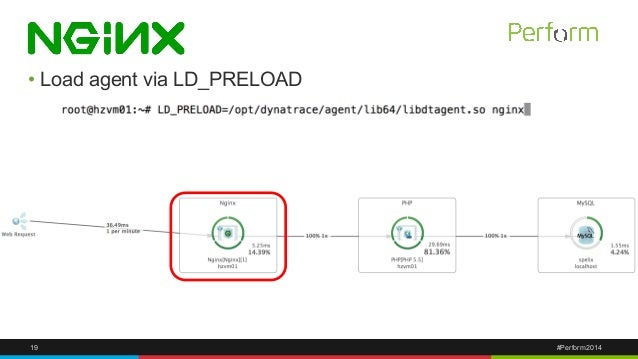 Nginx, PHP and Node.js