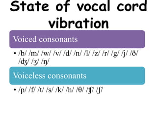 State of vocal cord
vibration
Voiced consonants
• /b/ /m/ /w/ /v/ /d/ /n/ /l/ /z/ /r/ /g/ /j/ /ð/
/ʤ/ /ʒ/ /ŋ/
Voiceless consonants
• /p/ /f/ /t/ /s/ /k/ /h/ /θ/ /ʧ/ /ʃ/
 