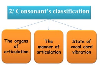2/ Consonant’s classification
The organs
of
articulation
State of
vocal cord
vibration
The
manner of
articulation
 