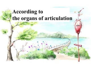 According to
the organs of articulation
 