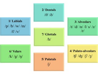 1/ Labials
/p/ /b/ /w/ /m/
/f/ /v/
2/ Dentals
/θ/ /ð/
3/ Alveolars
/t/ /d/ /n/ /l/ s/ /z/
/r/
6/ Velars
/k/ /g/ /ŋ/
7/ Glottals
/h/
4/ Palato-alveolars
/ʧ/ /ʤ/ /ʃ/ /ʒ/
5/ Palatals
/j/
 