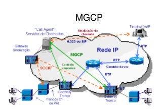 PCT - TEC COTUCA
MGCP
 