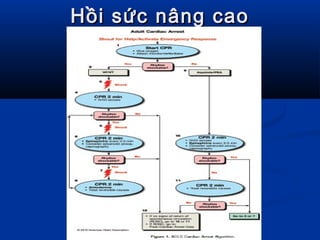 Hồi sức nâng caoHồi sức nâng cao
 