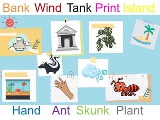 Bank Wind Tank Print Island
Hand Ant Skunk Plant
 