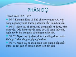 PHÂN ĐỘ
Theo Green D.P. 1997:
Độ I: Đau mặt lòng và khó chịu ở ròng rọc A1, vận
động ngón tay bình thường, đôi khi cằm nắm hơi yếu.
Độ II: Ngón tay bị khóa, chủ động duỗi ra được, cằm
nắm yếu. Dấu hiệu chuyển sang độ 2 là sang thức dậy
ngón tay bị bật cứng đơ cử động một lát hết.
Độ III: Ngón tay bị khóa, duỗi thụ động được hoặc
không có khả năng tự gấp ngón được
Độ IV: Ngón tay bị khóa hoàn toàn không gấp duỗi
được, có rút gấp cố định ở khớp liên đốt gần
 
