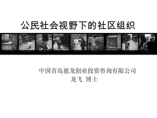 公民社会视野下的社区组织 中国青岛慈龙创业投资咨询有限公司 龙飞 博士 