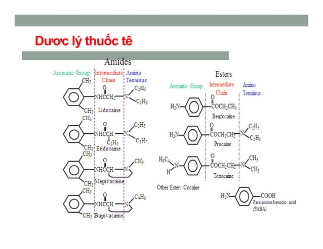 Ngo doc-thuoc-te | PDF