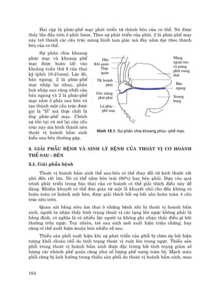 164
Hai cÆp l¸ phóc-phÕ m¹c ph¸t triÓn tõ thµnh bªn cña c¬ thÓ. Nã ®−îc
thÊy lÇn ®Çu tiªn ë ph«i 5mm. Theo sù ph¸t triÓn cña ph«i, 2 l¸ phóc-phÕ m¹c
nµy trë thµnh c¸c cÊu tróc mµng h×nh tam gi¸c mµ ®¸y n»m däc theo thµnh
bªn cña c¬ thÓ.
Sù ph©n chia khoang
phóc m¹c vµ khoang phÕ
m¹c ®−îc hoµn tÊt vµo
kho¶ng tuÇn thø 8 cña thai
kú (ph«i 19-21mm). Lóc ®ã,
b¶n ngang, 2 l¸ phóc-phÕ
m¹c nhËp l¹i nhau, phÇn
hoµ nhËp sau cïng nhÊt cña
b¶n ngang vµ 2 l¸ phóc-phÕ
m¹c n»m ë phÝa sau bªn vµ
t¹o thµnh mét cÊu tróc ®−îc
gäi lµ “lç” mµ thùc chÊt lµ
èng phóc-phÕ m¹c. ChÝnh
sù tån t¹i vµ më l¹i cña cÊu
tróc nµy mµ h×nh thµnh nªn
tho¸t vÞ hoµnh bÈm sinh
kiÓu sau-bªn th−êng gÆp.
3. Gi¶i phÉu bÖnh vµ sinh lý bÖnh cña tho¸t vÞ c¬ hoµnh
thÓ sau - bªn
3.1. Gi¶i phÉu bÖnh
Tho¸t vÞ hoµnh bÈm sinh thÓ sau-bªn cã thÓ thay ®æi tõ kÝch th−íc rÊt
nhá ®Õn rÊt lín. Nã cã thÓ n»m bªn tr¸i (80%) hay bªn ph¶i. Dùa vµo qu¸
tr×nh ph¸t triÓn trong bµo thai cña c¬ hoµnh cã thÓ gi¶i thÝch ®iÒu nµy dÔ
dµng. KhiÕm khuyÕt cã thÓ ®¬n gi¶n tõ mét lç khuyÕt nhá cho ®Õn kh«ng cã
hoµn toµn c¬ hoµnh mét bªn, ®−îc gi¶i thÝch bëi sù bÊt s¶n hoµn toµn 4 cÊu
tróc nªu trªn.
Quan s¸t b»ng siªu ©m thai ë nh÷ng bÖnh nhi bÞ tho¸t vÞ hoµnh bÈm
sinh, ng−êi ta nhËn thÊy t×nh tr¹ng tho¸t vÞ c¸c t¹ng lªn ngùc kh«ng ph¶i lµ
h»ng ®Þnh, cã nghÜa lµ cã nhiÒu lóc ng−êi ta kh«ng ghi nhËn thÊy ®iÒu g× bÊt
th−êng trªn ngùc. Tuy nhiªn, trÎ sau sinh míi xuÊt hiÖn triÖu chøng, hay
còng cã thÓ xuÊt hiÖn muén h¬n nhiÒu vÒ sau.
ThiÓu s¶n phæi xuÊt hiÖn khi sù ph¸t triÓn cña phæi bÞ chÌn Ðp bëi hiÖn
t−îng khèi cho¸n chç do t×nh tr¹ng tho¸t vÞ ruét lªn trong ngùc. ThiÓu s¶n
phæi trong tho¸t vÞ hoµnh bÈm sinh ®−îc ®Æc tr−ng bëi t×nh tr¹ng gi¶m sè
l−îng c¸c nh¸nh phÕ qu¶n còng nh− sè l−îng phÕ nang toµn bé. M¹ch m¸u
phæi còng bÞ ¶nh h−ëng trong thiÓu s¶n phæi do tho¸t vÞ hoµnh bÈm sinh, mao
HÇu
KhÝ qu¶n
Thùc
qu¶n
L¸ phóc -
phÕ m¹c
B¶n
ngang
Xoang
bông
TK hoµnh
ph¶i
Mµng
ngoµi tim
vµ mµng
phæi trung
thÊt
Gãc mµng
ph¶i ph¶i
H×nh 15.1. Sù ph©n chia khoang phóc -phÕ m¹c
 