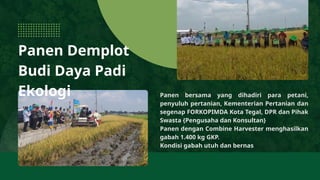 Budidaya Padi Secara Ekologi di Lahan Demplot.ppt