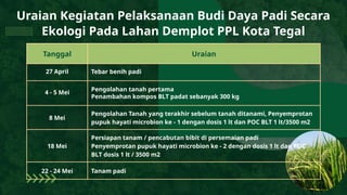 Demplot Hama Budidaya Padi Secara Ekologi di Lahan Demplot.ppt