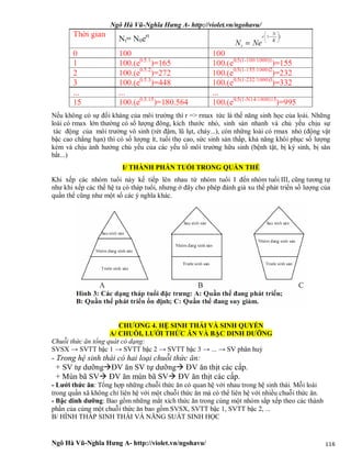 Ngô Hà Vũ-Nghĩa Hưng A- http://violet.vn/ngohavu/
Ngô Hà Vũ-Nghĩa Hưng A- http://violet.vn/ngohavu/ 116
Nếu không có sự đối kháng của môi trường thì r => rmax tức là thế năng sinh học của loài. Những
loài có rmax lớn thường có số lượng đông, kích thước nhỏ, sinh sản nhanh và chủ yếu chịu sự
tác động của môi trường vô sinh (rét đậm, lũ lụt, cháy...), còn những loài có rmax nhỏ (động vật
bậc cao chẳng hạn) thì có số lượng ít, tuổi thọ cao, sức sinh sản thấp, khả năng khôi phục số lượng
kém và chịu ảnh hưởng chủ yếu của các yếu tố môi trường hữu sinh (bệnh tật, bị ký sinh, bị săn
bắt...)
I/ THÀNH PHẦN TUỔI TRONG QUẦN THỂ
Khi xếp các nhóm tuổi này kế tiếp lên nhau từ nhóm tuổi I đến nhóm tuổi III, cũng tương tự
như khi xếp các thế hệ ta có tháp tuổi, nhưng ở đây cho phép đánh giá xu thế phát triển số lượng của
quần thể cũng như một số các ý nghĩa khác.
CHƯƠNG 4. HỆ SINH THÁI VÀ SINH QUYỂN
A/ CHUỖI, LƯỚI THỨC ĂN VÀ BẬC DINH DƯỠNG
Chuỗi thức ăn tổng quát có dạng:
SVSX → SVTT bậc 1 → SVTT bậc 2 → SVTT bậc 3 → ... → SV phân huỷ
- Trong hệ sinh thái có hai loại chuỗi thức ăn:
+ SV tự dưỡngĐV ăn SV tự dưỡng ĐV ăn thịt các cấp.
+ Mùn bã SV ĐV ăn mùn bã SV ĐV ăn thịt các cấp.
- Lưới thức ăn: Tổng hợp những chuỗi thức ăn có quan hệ với nhau trong hệ sinh thái. Mỗi loài
trong quần xã không chỉ liên hệ với một chuỗi thức ăn mà có thể liên hệ với nhiều chuỗi thức ăn.
- Bậc dinh dưỡng: Bao gồm những mắt xích thức ăn trong cùng một nhóm sắp xếp theo các thành
phần của cùng một chuỗi thức ăn bao gồm SVSX, SVTT bậc 1, SVTT bậc 2, ...
B/ HÌNH THÁP SINH THÁI VÀ NĂNG SUẤT SINH HỌC
 