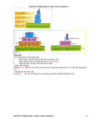 Ngô Hà Vũ-Nghĩa Hưng A- http://violet.vn/ngohavu/
Ngô Hà Vũ-Nghĩa Hưng A- http://violet.vn/ngohavu/ 117
Năng suất
Các hệ sinh thái có 2 loại năng suất:
 Năng suất sơ cấp: đó là năng suất của sinh vật sản xuất
 Năng suất thứ cấp: đó là năng suất của sinh vật tiêu thụ
 Năng suất được tính là: Gam chất khô/m²/ngày
+ Hiệu suất sinh thái
Eff (H) = Ci+1. 100%/Ci (eff: Hiệu suất sinh thái, Ci bậc dinh dưỡng thứ i, Ci+1 bậc dinh dưỡng thứ
i+1)
+ Sản lượng sinh vật sơ cấp
PN=PG-R (PN: SL sơ cấp tinh, PG sản lượng sơ cấp thô, R phần hô hấp của TV)
 