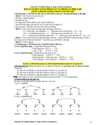 Ngô Hà Vũ-Nghĩa Hưng A- http://violet.vn/ngohavu/
Ngô Hà Vũ-Nghĩa Hưng A- http://violet.vn/ngohavu/ 19
BÀI 11+12 QUY LUẬT PHÂN LY VÀ PHÂN LY ĐỘC LẬP
DẠNG 1: PHƯƠNG PHÁP CHUNG GIẢI BÀI TẬP
1.Trường hợp 1 : Đề bài cho đầy đủ các kiểu hình ở đời sau áp dụng Ql phân ly độc lập:
+ Bước 1 : tìm trội lặn và quy ước gen
- Trội lặn: 3 phương pháp:
* Do đầu bài cho
* F1 đồng tính (100%) KH nào đó, thì đó là KH trội
* Xét tỷ lệ tính trạng: KH nào đi với 3 là trội VD Cao/thấp=3/1
- Quy ước gen: Trội chữ cái In hoa, lặn chữ cái thường
+ Bước 2 : Xét sự di truyền của từng cặp tính trạng ở đời sau :
3/1→ định luật 2 của Menđen ==> Kiểu gen của cá thể đem lai : Aa x Aa .
1/2/1→ trội không hoàn toàn ==> Kiểu gen của cá thể đem lai : Aa x Aa .
1/1 → là kết quả của phép lai phân tích ==> Kiểu gen của cá thể đem lai : Aa x aa .
+ Bước 3 : Xét sư di truyền các cặp tính trạng ở đời sau : nhân tỷ lệ KH các phép lai riêng ở bước 2
nếu trùng với tỷ lệ KH của đầu bài=> tuân theo quy luật Phân ly độc lập
+ Bước 4 : Viết sơ đồ lai .
2. Trường hợp 2 : Đề bài chỉ cho 1 loại kiểu hình ở đời sau :
a) Lai 2 cặp tính trạng : Sẽ gặp một trong các tỉ lệ sau :
-2 tính trạng lặn : 6,25 % = 1/16 .
- 1 trội , 1 lặn : 18,75 % = 3/16 .
b) Lai 3 cặp tính trạng : Sẽ gặp một trong các tỉ lệ sau :
-3 tính trạng lặn : 1,5625 % = 1/64 .
-2 tính trạng lặn , 1 tính trạng trội : 4,6875 % = 3/64 .
-1 tính trạng lặn , 2 tính trạng trội : 14,0625 % = 9/64 .
DẠNG 2: TÍNH SỐ LOẠI VÀ TÌM THÀNH PHẦN GEN CỦA GIAO TỬ
1)Số loại giao tử: Không tùy thuộc vào số cặp gen trong KG mà tùy thuộc vào số cặp gen dị hợp.
Trong đó:
 KG của cá thể gồm 1 cặp gen dị hợp sẽ sinh ra 21
loại giao tử.
 KG của cá thể gồm 2 cặp gen dị hợp sẽ sinh ra 22
loại giao tử.
 KG của cá thể gồm 3 cặp gen dị hợp sẽ sinh ra 23
loại giao tử.
Số loại giao tử của cá thể có KG gốm n cặp gen dị hợp = 2n
tỉ lệ tương đương.
2)Thành phần gen của giao tử:
Sử dụng sơ đồ phân nhánh Auerbac qua các ví dụ sau:
Ví dụ 1: AaBbDd
A a
B b B b
D d D D D d D d
ABD ABd AbD Abd aBD aBd abD abd
Ví dụ 2: AaBbDDEeFF
A a
B b B b
D D D D
E e E e E e E e
F F F F F F F F
ABDEF ABDeF AbDEF AbDeF aBDEF aBDeF abDEF abDeF
 