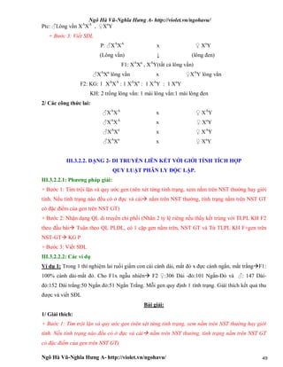 Ngô Hà Vũ-Nghĩa Hưng A- http://violet.vn/ngohavu/
Ngô Hà Vũ-Nghĩa Hưng A- http://violet.vn/ngohavu/ 49
Ptc: ♂Lông vằn XA
XA
, ♀Xa
Y
+ Bước 3: Viết SĐL
P: ♂XA
XA
x ♀ Xa
Y
(Lông vằn) ↓ (lông đen)
F1: XA
Xa
, XA
Y(tất cả lông vằn)
♂XA
Xa
lông vằn x ♀XA
Y lông vằn
F2: KG: 1 XA
XA
: 1 XA
Xa
: 1 XA
Y : 1 Xa
Y
KH: 2 trống lông vằn: 1 mái lông vằn:1 mái lông đen
2/ Các công thức lai:
♂XA
XA
x ♀ XA
Y
♂XA
XA
x ♀ Xa
Y
♂XA
Xa
x ♀ XA
Y
♂XA
Xa
x ♀ Xa
Y
III.3.2.2. DẠNG 2- DI TRUYỀN LIÊN KẾT VỚI GIỚI TÍNH TÍCH HỢP
QUY LUẬT PHÂN LY ĐỘC LẬP.
III.3.2.2.1: Phương pháp giải:
+ Bước 1: Tìm trội lặn và quy ước gen (nên xét từng tính trạng, xem nằm trên NST thường hay giới
tính. Nếu tính trạng nào đều có ở đực và cái nằm trên NST thường, tính trạng nằm trên NST GT
có đặc điểm của gen trên NST GT)
+ Bước 2: Nhận dạng QL di truyền chi phối (Nhân 2 tỷ lệ riêng nếu thấy kết trùng với TLPL KH F2
theo đầu bài Tuân theo QL PLĐL, có 1 cặp gen nằm trên, NST GT và Từ TLPL KH F+gen trên
NST-GT KG P
+ Bước 3: Viết SĐL
III.3.2.2.2: Các ví dụ
Ví dụ 1: Trong 1 thí nghiệm lai ruồi giấm con cái cánh dài, mắt đỏ x đực cánh ngắn, mắt trắngF1:
100% cánh dài-mắt đỏ. Cho F1x ngẫu nhiên F2 ♀:306 Dài -đỏ:101 Ngắn-Đỏ và ♂: 147 Dài-
đỏ:152 Dài trắng:50 Ngắn đỏ:51 Ngắn Trắng. Mỗi gen quy định 1 tính trạng. Giải thích kết quả thu
được và viết SĐL
Bài giải:
1/ Giải thích:
+ Bước 1: Tìm trội lặn và quy ước gen (nên xét từng tính trạng, xem nằm trên NST thường hay giới
tính. Nếu tính trạng nào đều có ở đực và cái nằm trên NST thường, tính trạng nằm trên NST GT
có đặc điểm của gen trên NST GT)
 