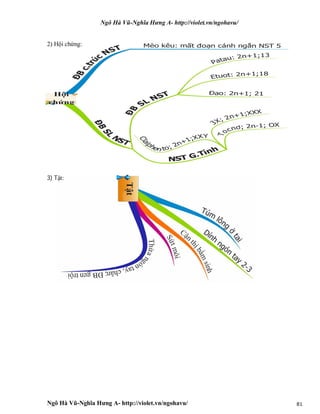 Ngô Hà Vũ-Nghĩa Hưng A- http://violet.vn/ngohavu/
Ngô Hà Vũ-Nghĩa Hưng A- http://violet.vn/ngohavu/ 81
2) Hội chứng:
3) Tật:
 