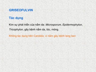GRISEOFULVIN

Tác dụng

Kìm sự phát triển của nấm da: Microsporum, Epidermophyton,
Tricophyton, gây bệnh nấm da, tóc, móng.

Không tác dụng trên Candida, vi nấm gây bệnh lang ben
 