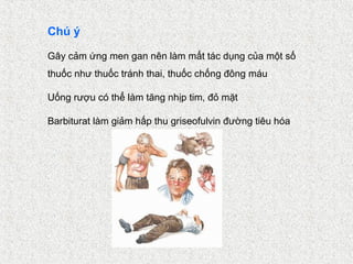 Chú ý

Gây cảm ứng men gan nên làm mất tác dụng của một số
thuốc như thuốc tránh thai, thuốc chống đông máu

Uống rượu có thể làm tăng nhịp tim, đỏ mặt

Barbiturat làm giảm hấp thu griseofulvin đường tiêu hóa
 