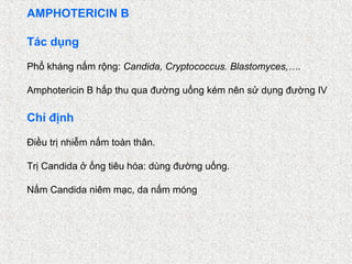 AMPHOTERICIN B

Tác dụng

Phổ kháng nấm rộng: Candida, Cryptococcus. Blastomyces,….

Amphotericin B hấp thu qua đường uống kém nên sử dụng đường IV

Chỉ định

Điều trị nhiễm nấm toàn thân.

Trị Candida ở ống tiêu hóa: dùng đường uống.

Nấm Candida niêm mạc, da nấm móng
 