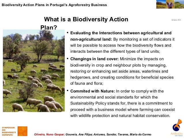 Agroforestry business plan image