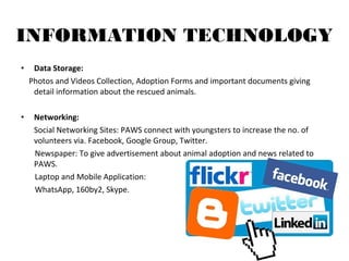 Ngo paws | PPT