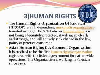 Ngo Human Rights Policy Examples Ngo presentation | PPTX