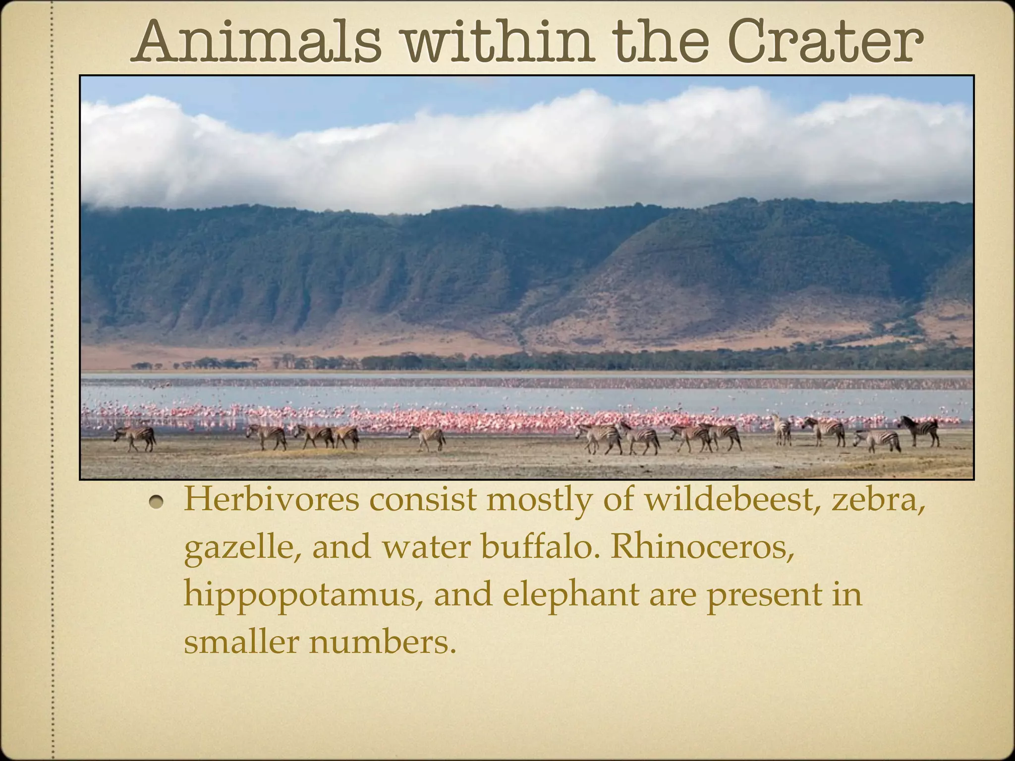 Community Ecology of Ngorongoro Crater, Tanzania