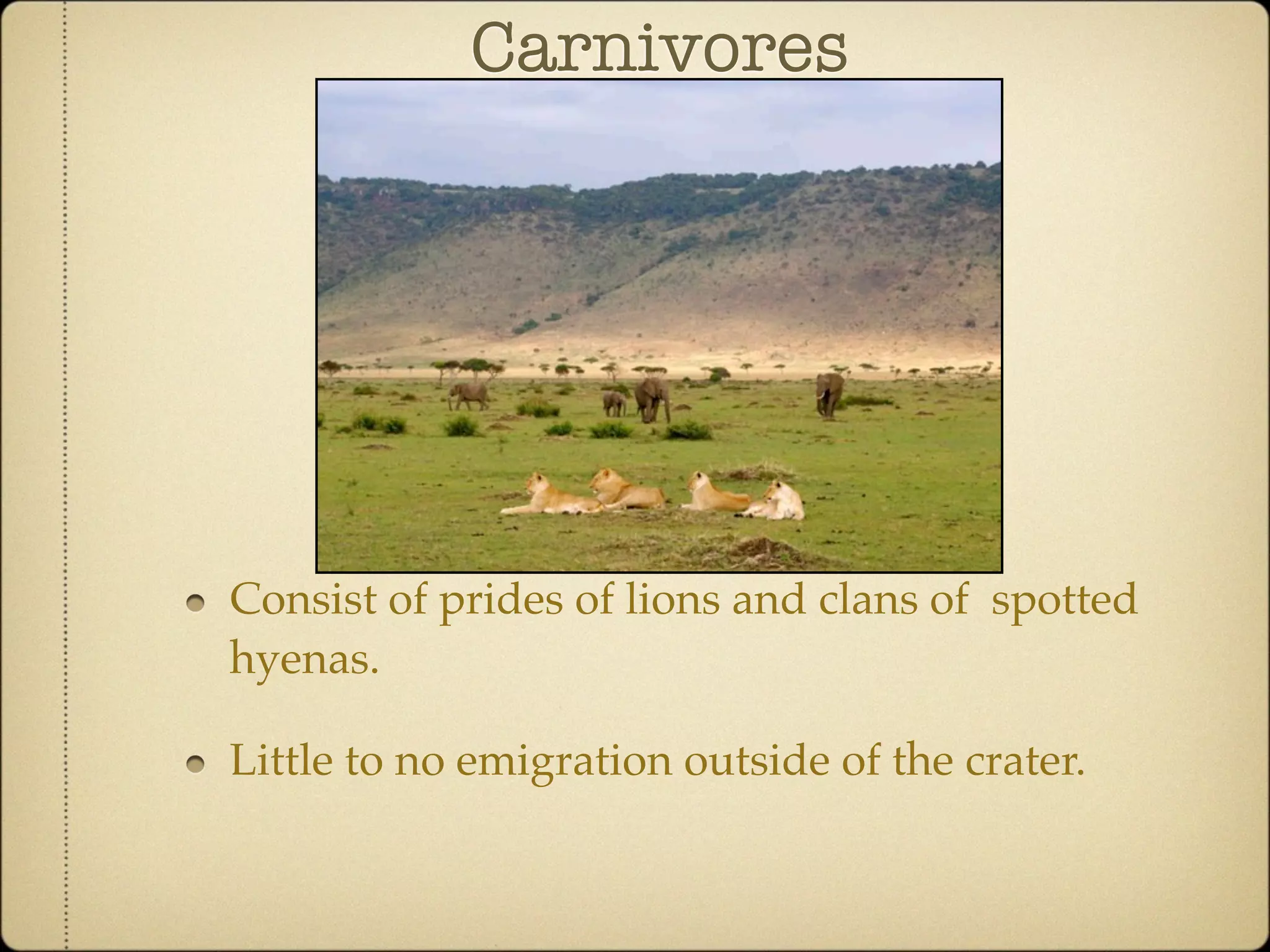 Community Ecology of Ngorongoro Crater, Tanzania