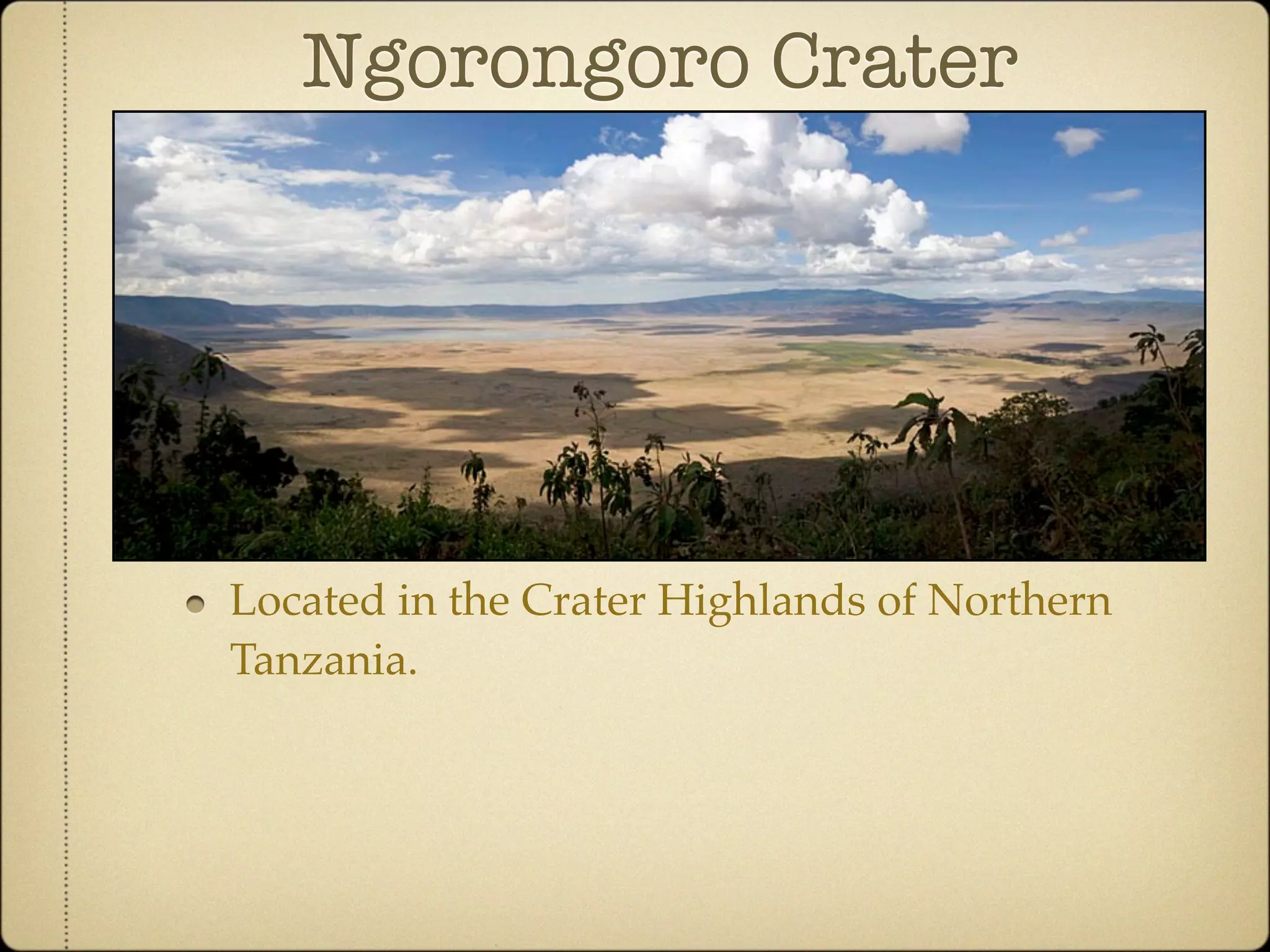 Community Ecology of Ngorongoro Crater, Tanzania