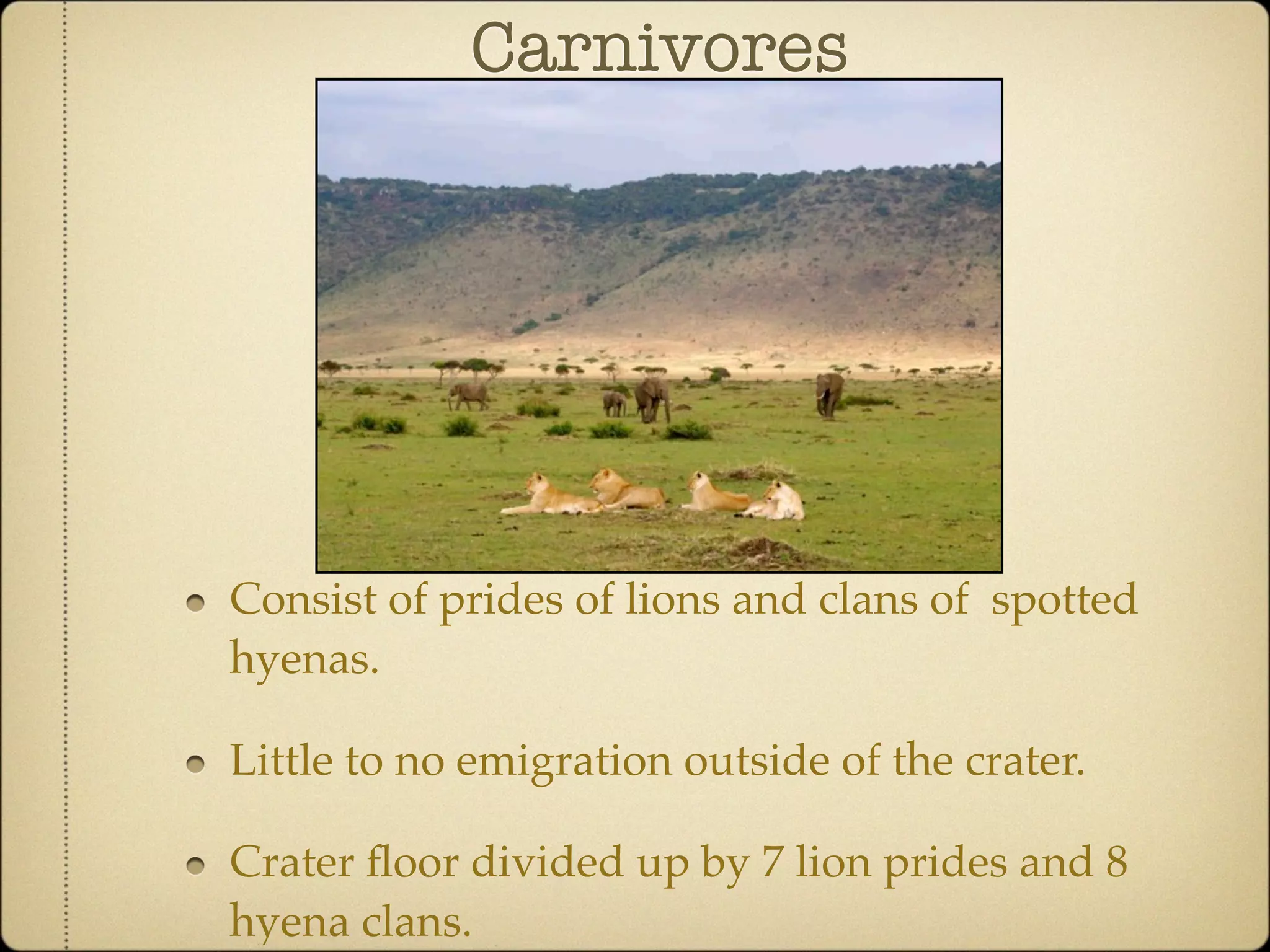 Community Ecology of Ngorongoro Crater, Tanzania