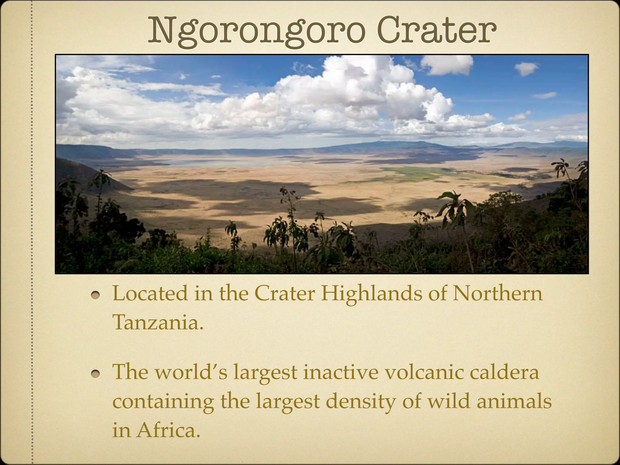 Community Ecology of Ngorongoro Crater, Tanzania
