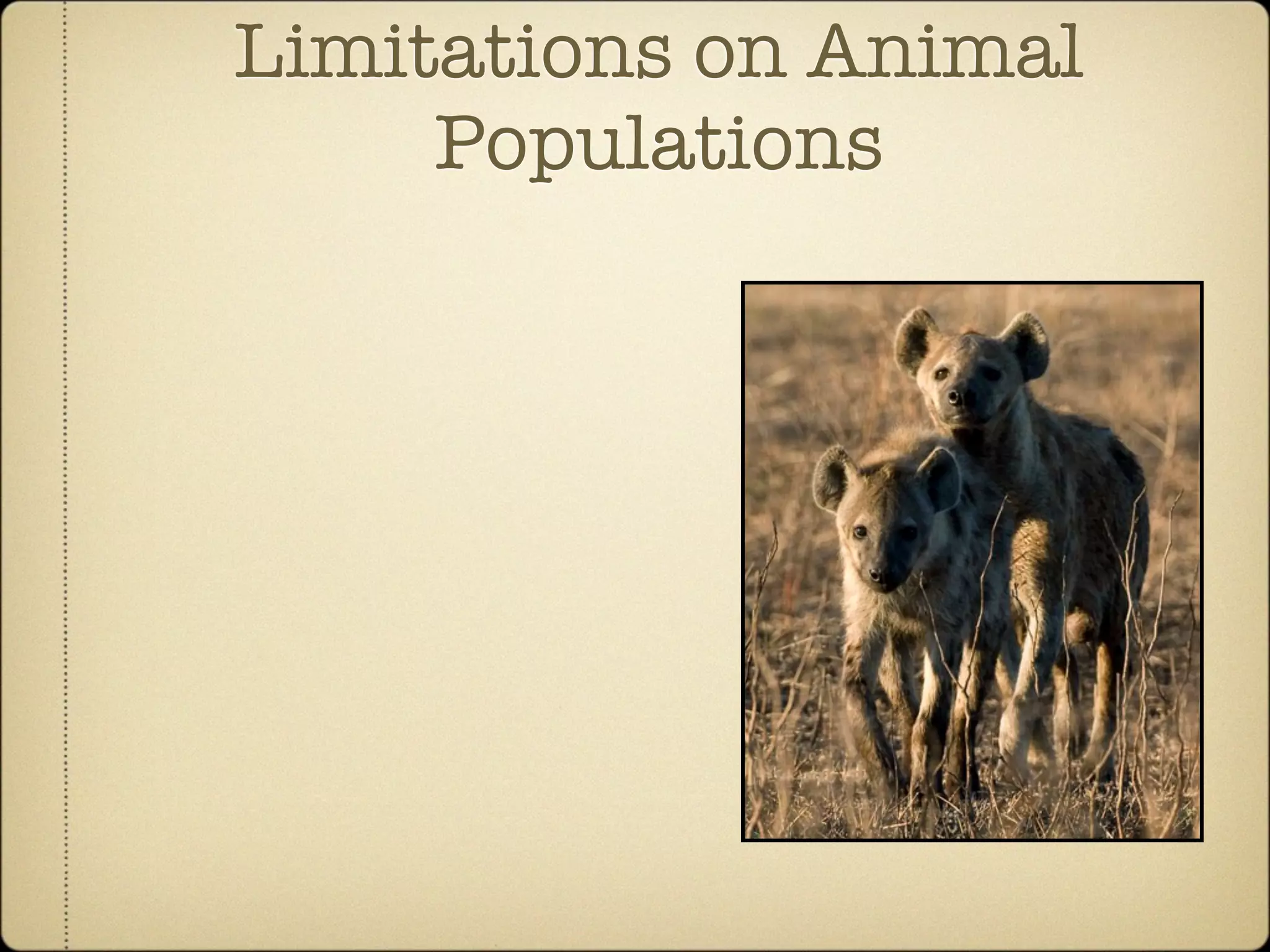 Community Ecology of Ngorongoro Crater, Tanzania