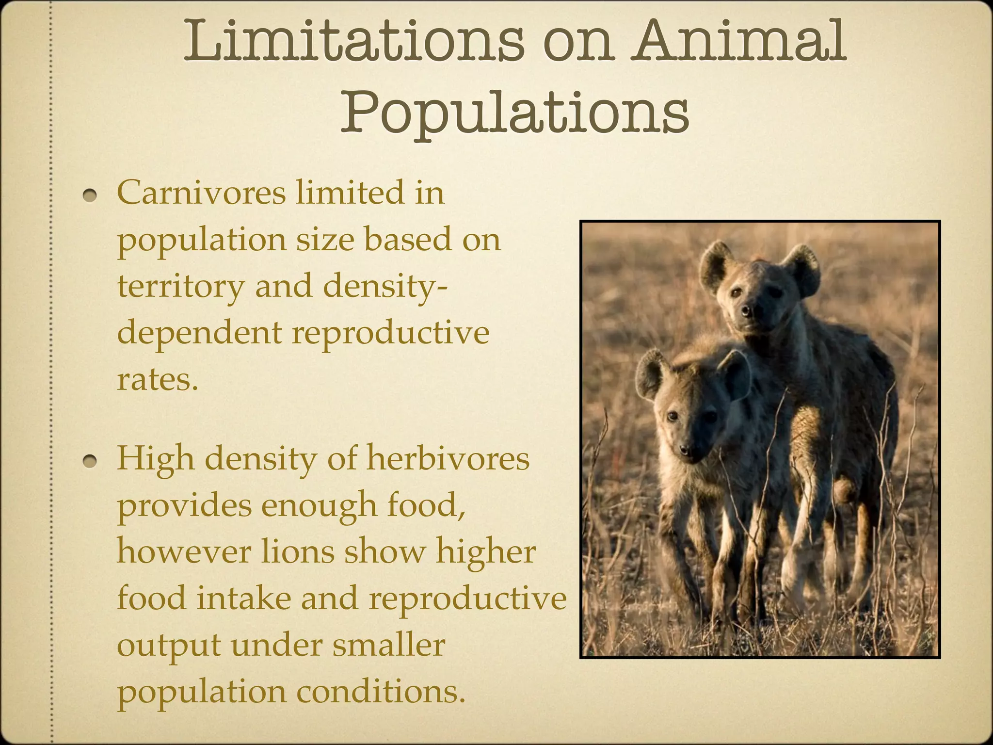 Community Ecology of Ngorongoro Crater, Tanzania