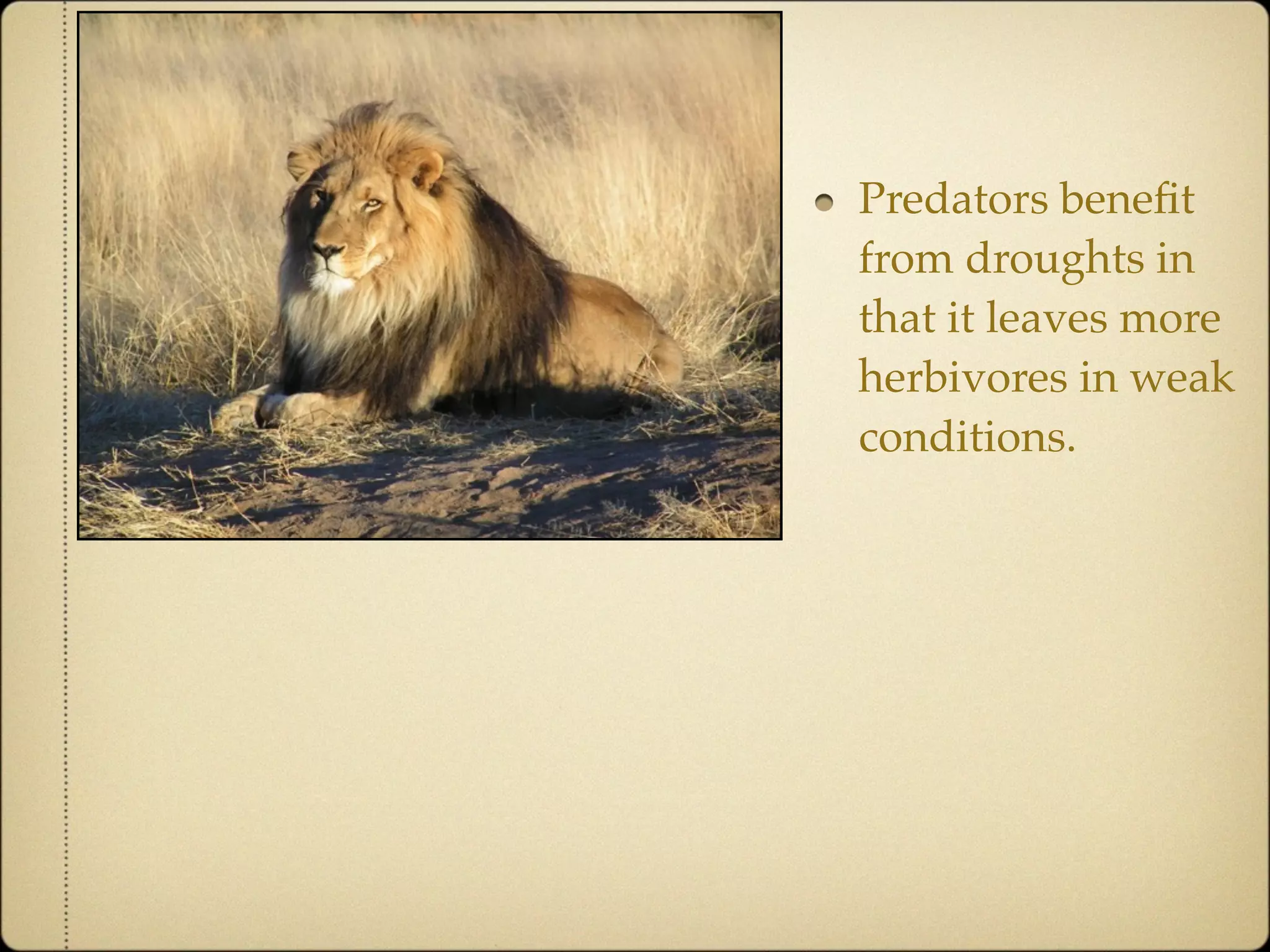 Community Ecology of Ngorongoro Crater, Tanzania