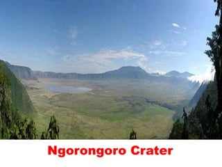 Ngorongoro Crater
 