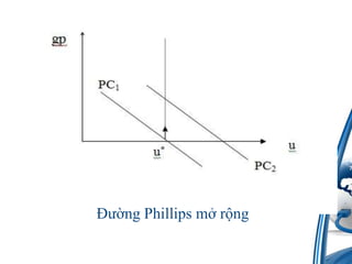 ???ng Phillips m?r?ng