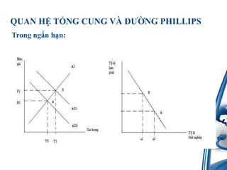 QUAN H? T?NG CUNG V? ???NG PHILLIPSTrongng?nh?n: