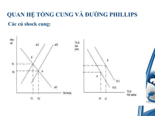 QUAN H? T?NG CUNG V? ???NG PHILLIPSCcc shock cung: