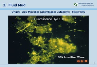 -   - 3.  Fluid Mud Progressive Aggregation SPM from River Weser Fluorescence Dye FITC Origin:  Clay-Microbes Assemblages /Stability:  Sticky EPS GREISER AND PARTNER Dredging Applications   