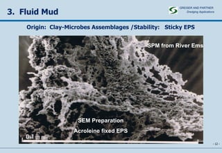-   - 3.  Fluid Mud SEM Preparation Acroleine fixed EPS SPM from River Ems Origin:  Clay-Microbes Assemblages /Stability:  Sticky EPS GREISER AND PARTNER Dredging Applications   