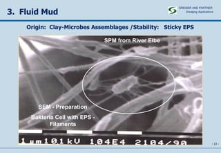 -   - 3.  Fluid Mud SEM - Preparation Bakteria Cell with EPS - Filaments SPM from River Elbe Origin:  Clay-Microbes Assemblages /Stability:  Sticky EPS GREISER AND PARTNER Dredging Applications   