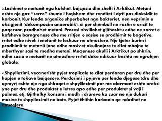 3.Leshimet e metanit nga kafshet, bujqesia dhe shelfi i Arktikut. Metani
eshte nje gaz “serre” shume i fuqishem dhe renditet i dyti pas dioksidit te
karbonit. Kur lenda organike shperbehet nga bakteriet, nen veprimin e
oksigjenit (dekompozim anaerobik), si per shembull ne rastin e orizit te
paqeruar, prodhohet metani. Procesi zhvillohet gjithashtu edhe ne zorret e
kafsheve barngrenese dhe me rritjen e sasise se prodhimit te bagetive,
rritet edhe niveli i metanit te leshuar ne atmosfere. Nje tjeter burim i
prodhimit te metanit jane edhe masivet akullnajore te cilat mbajne te
mberthyer sasi te medha metani. Meqenese akulli i Arktikut po shkrin,
edhe sasia e metanit ne atmosfere rritet duke ndikuar keshtu ne ngrohjen
globale.
4.Shpyllezimi, vecanerisht pyjet tropikale te cilat perdoren per dru dhe per
hapjen e tokave bujqesore. Perdorimi i pyjeve per lende djegese (dru dhe
qymyr) eshte nje nga shkaqet e shpyllezimit por me alarmant eshte oreksi
yne per dru dhe produktet e letres apo edhe per produktet si vaji i
palmes, etj. Gjithe ky konsum i madh i drureve ka cuar ne nje dukuri
masive te shpyllezimit ne bote. Pyjet thithin karbonin qe ndodhet ne
atmosfere.
 
