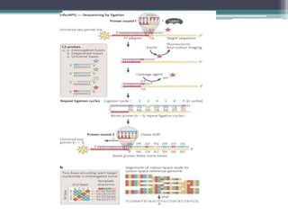 NEXT GENERATION SEQUENCING | PPTX