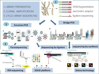 Next generation sequencing | PPTX