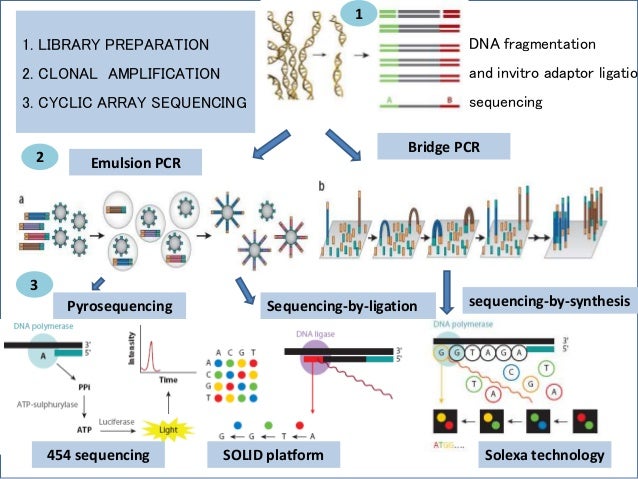 Next generation sequencing