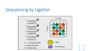 Sequencing by Ligation
 