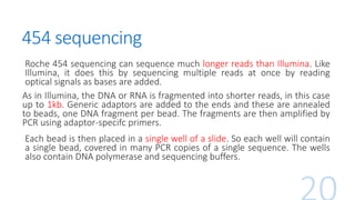 454 sequencing
Roche 454 sequencing can sequence much longer reads than Illumina. Like
Illumina, it does this by sequencing multiple reads at once by reading
optical signals as bases are added.
As in Illumina, the DNA or RNA is fragmented into shorter reads, in this case
up to 1kb. Generic adaptors are added to the ends and these are annealed
to beads, one DNA fragment per bead. The fragments are then amplified by
PCR using adaptor-specifc primers.
Each bead is then placed in a single well of a slide. So each well will contain
a single bead, covered in many PCR copies of a single sequence. The wells
also contain DNA polymerase and sequencing buffers.
 